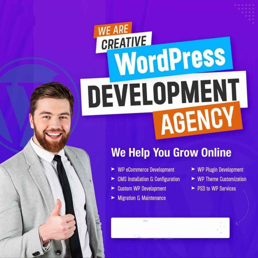 Wordpress Web Development Agency